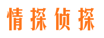 饶河市婚外情调查